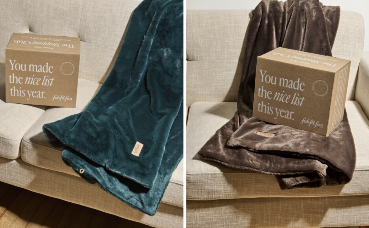 UnHide FabFitFun 2024 Winter spoiler
